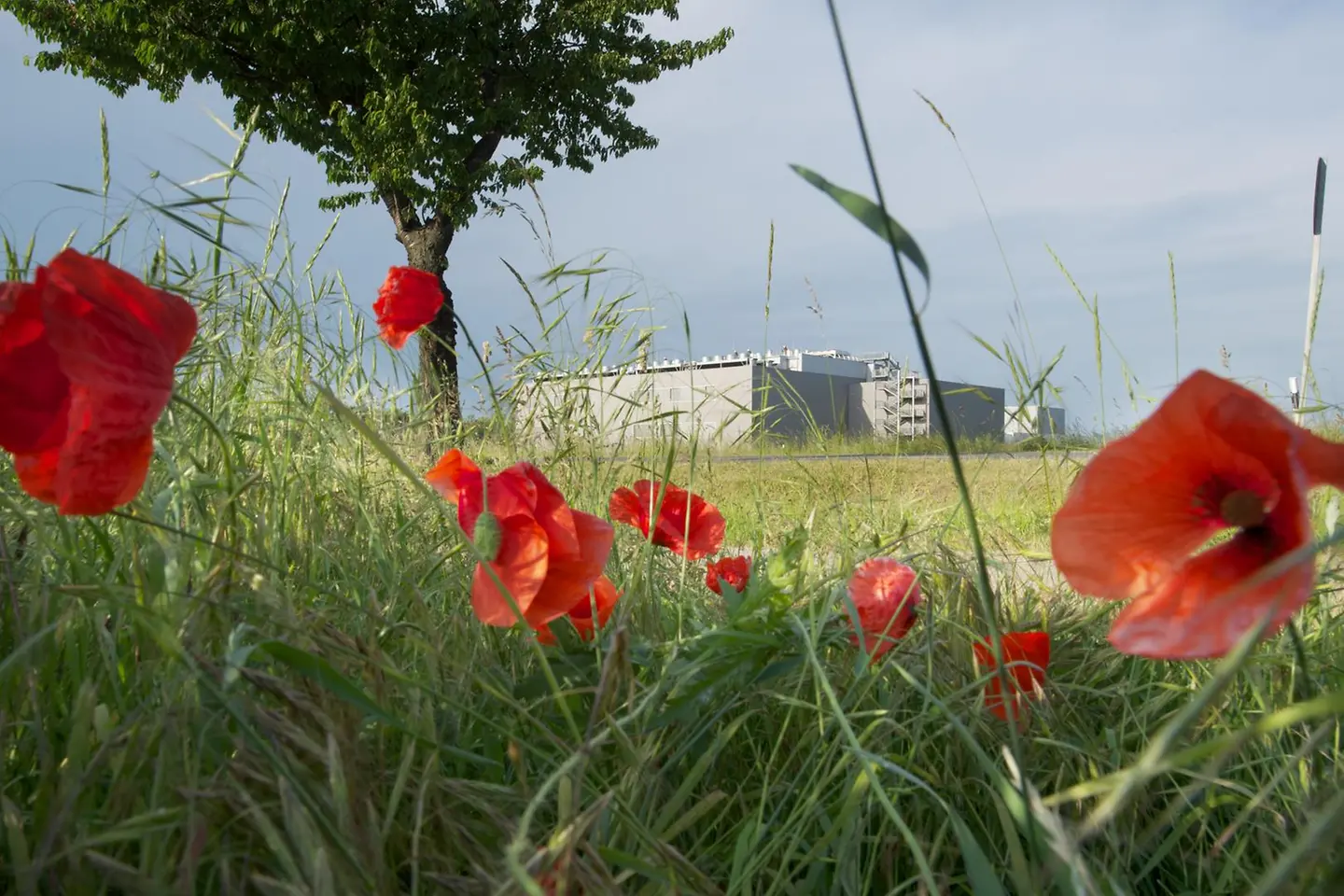 Buitenaanzicht van het cloud datacenter in Biere