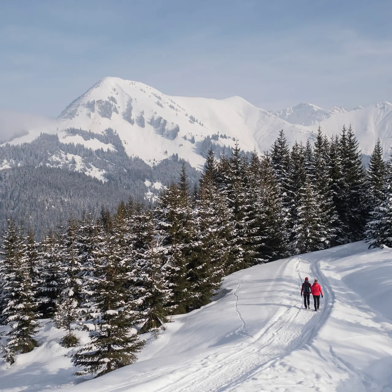 snowy mountains