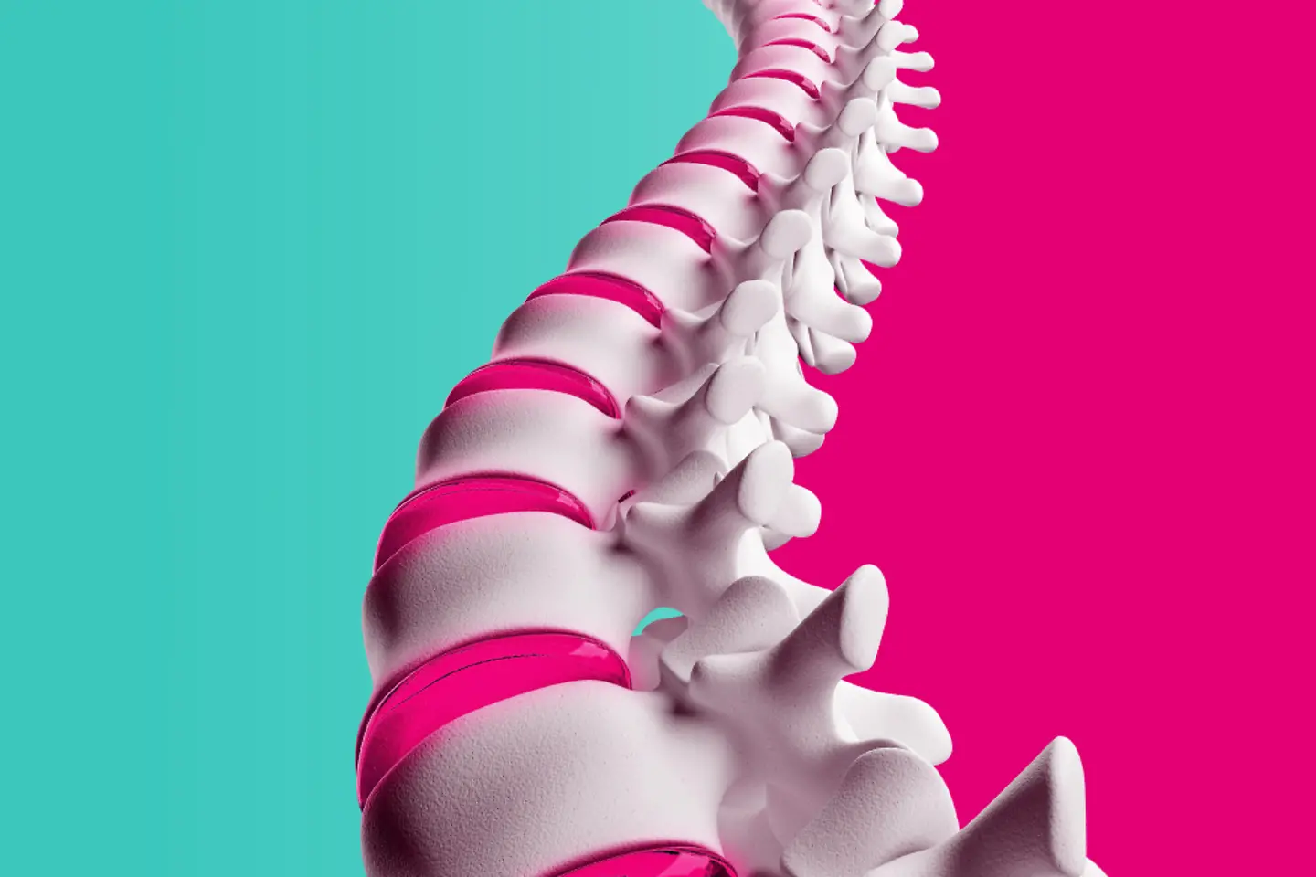  Modell einer Wirbelsäule vor einem magenta-mintfarbenen Hintergrund